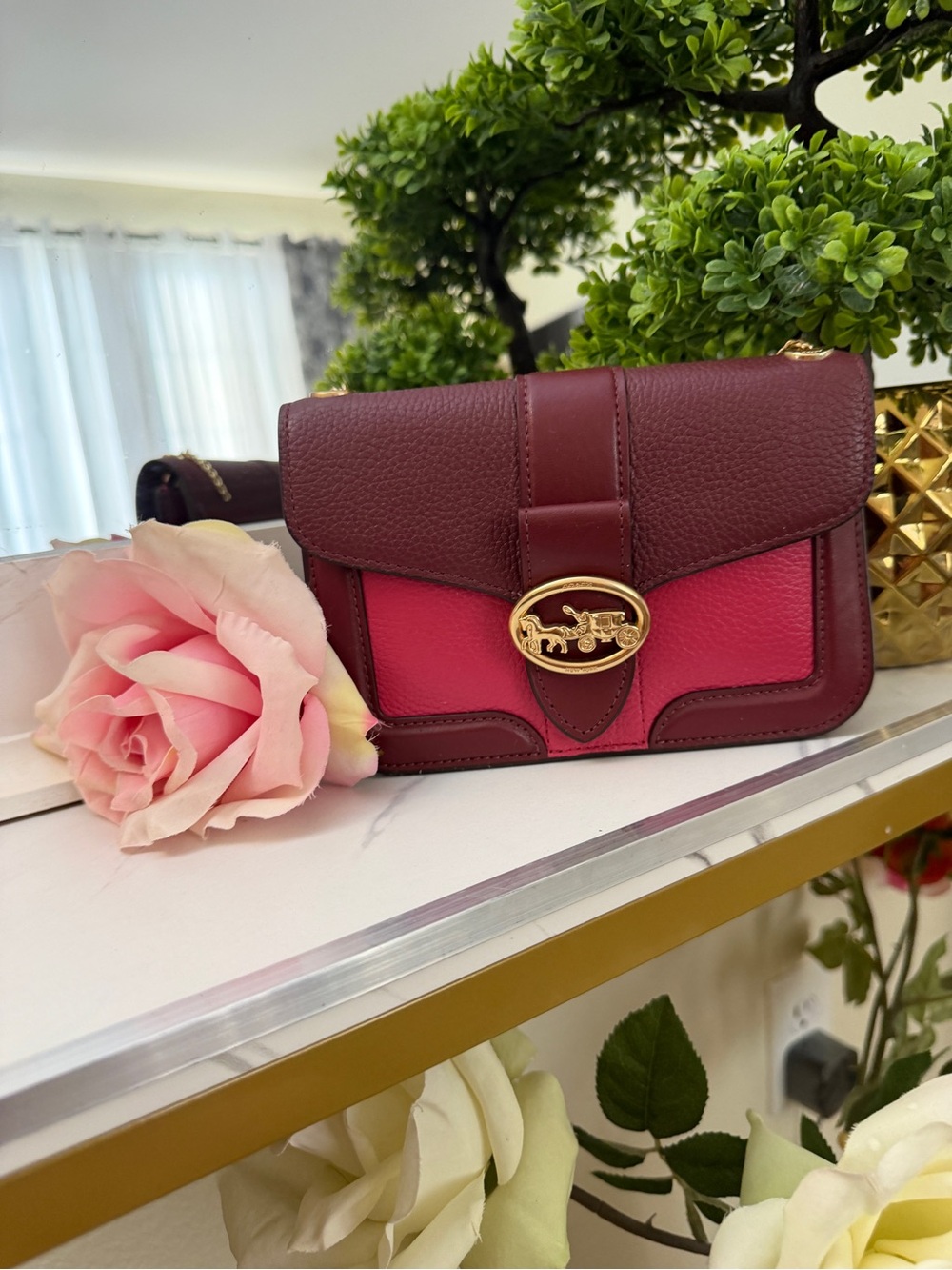 Rare Coach Wallet Crossbody – Stunning & Unique Color
